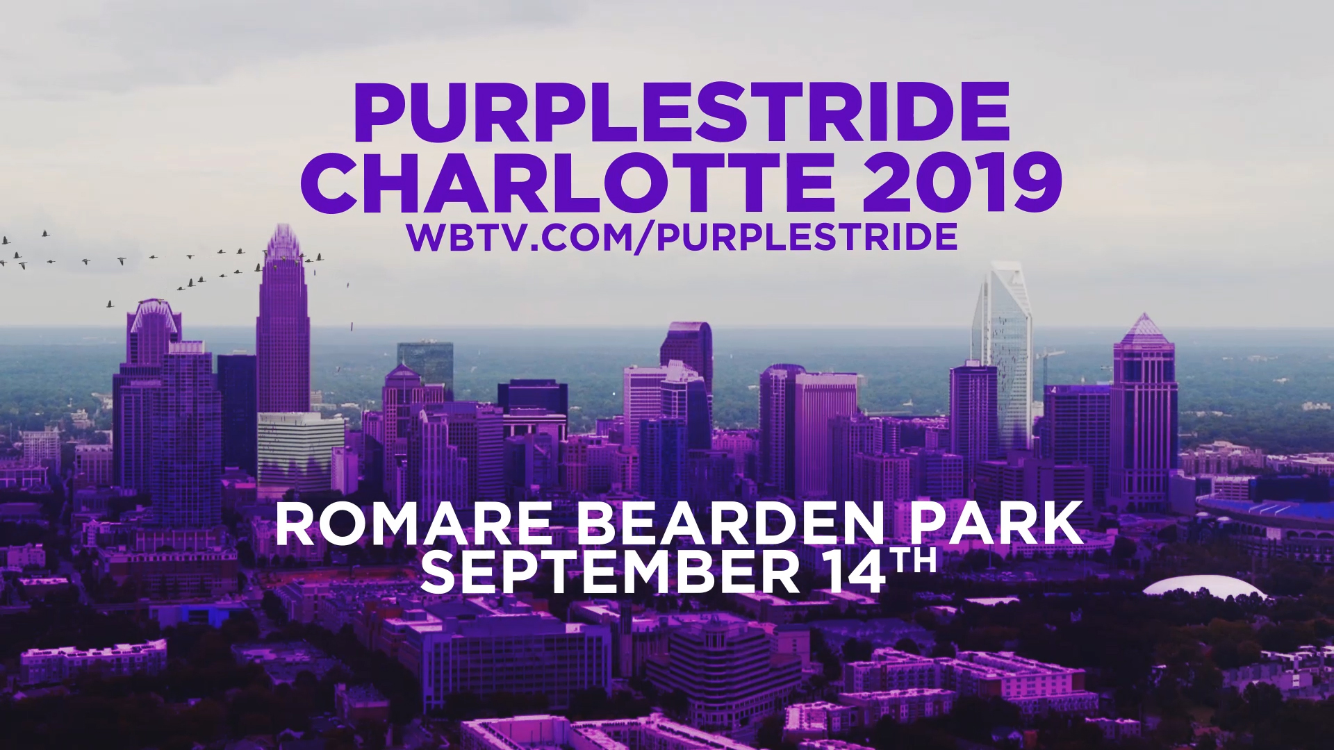 Purple Stride Charlotte Cameron Evans